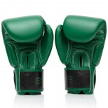 Перчатки боксерские Fairtex (BGV-Premium Resurrection)